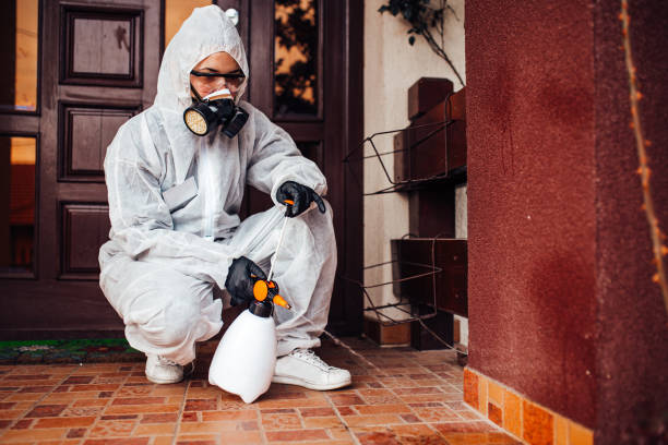 Reliable Bed Bug Control contractor in Fountainhead-Orchard Hills, MD by Nex Pest Control