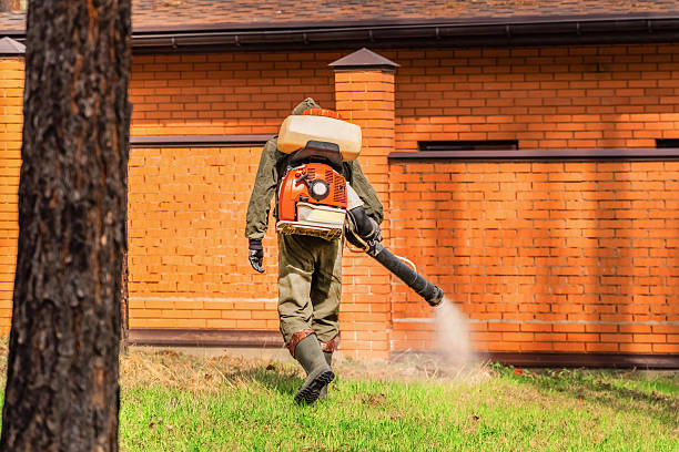Trusted Mosquito Control service in Fountainhead-Orchard Hills, MD - Nex Pest Control